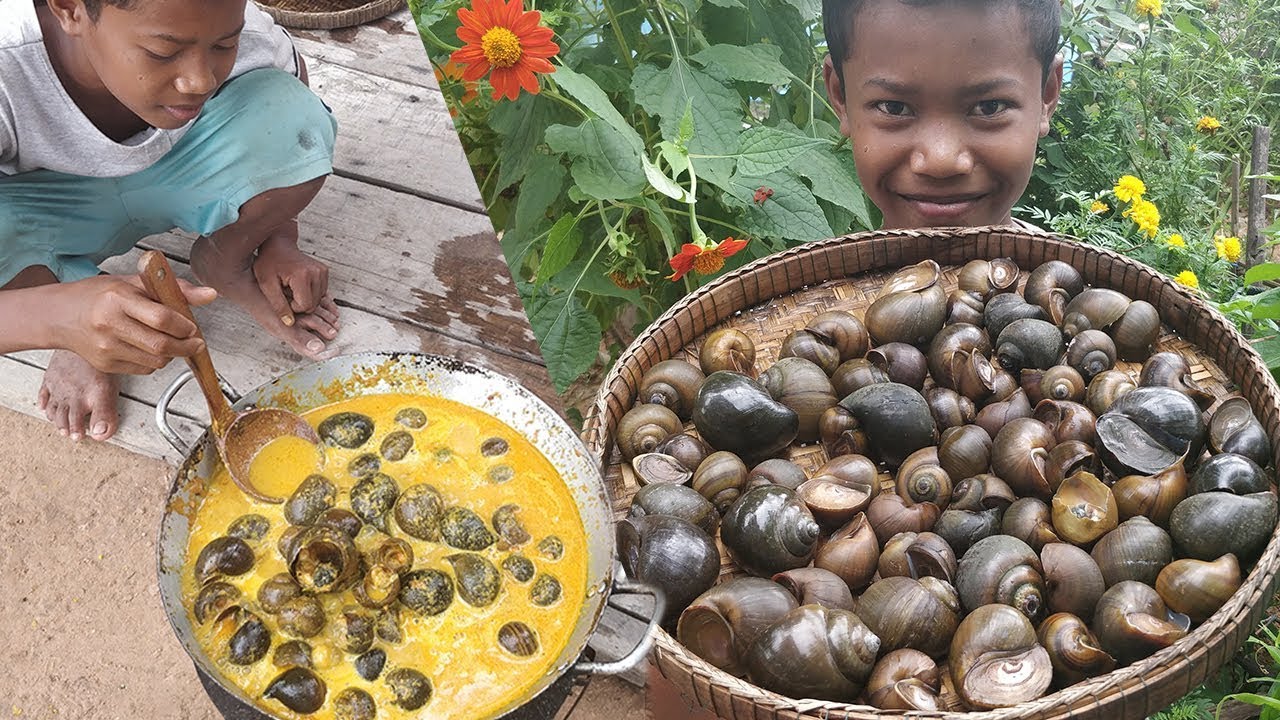 Special Cooking Snail Curry / Eating Snails Curry