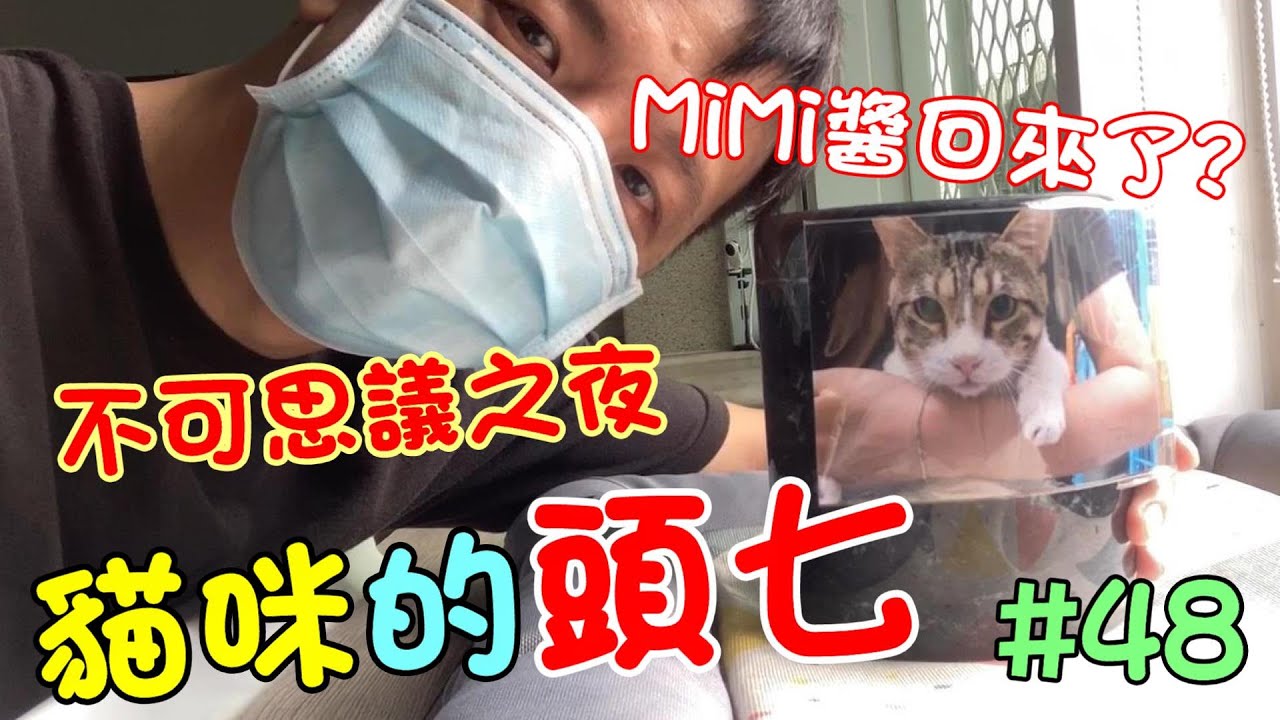 「貓咪的頭七」MiMi醬回來了？不可思議的夜晚 Cat story #48