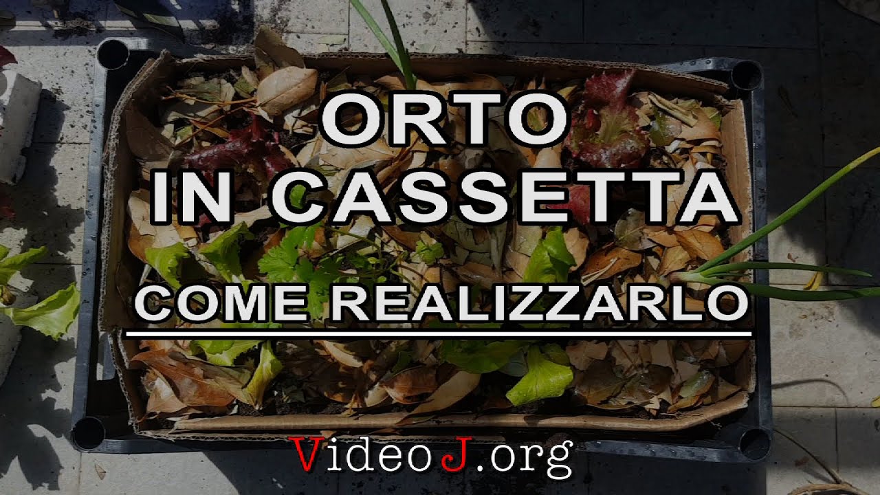 ORTO IN CASSETTA - COME COSTRUIRLO seguendo i consigli di Laura Calvelli di SINERGIC