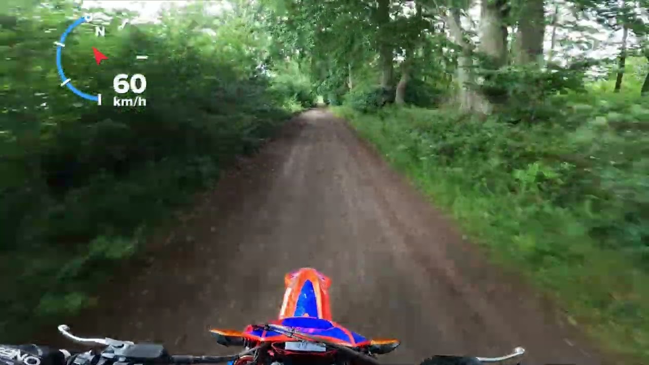 Driving my Beta RR 350 through the woods