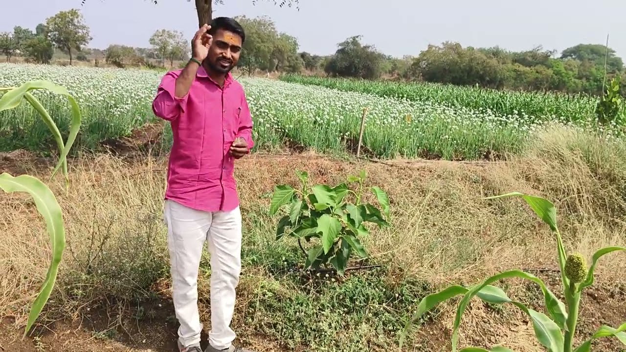 #प्रगतशील #शेतकरी #शेती #नाद #काळजाचा #भेट #थेटप्रसारण #शेतकरीbrand सोमनाथ थोरवे यांची शेतात भेट🌱