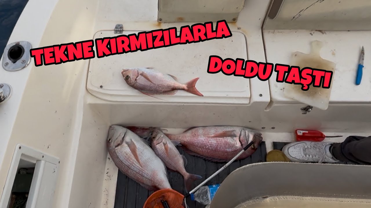 TEKNE KIRMIZILARLA DOLDU TAŞTI ! BOL ÇEŞİTLİ VE VERİMLİ GEÇEN AVIMIZ