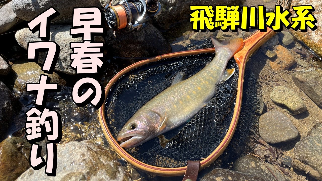【渓流ルアー】～飛騨川水系～　早春の定番ポイントでルアーを投げてみると・・・。