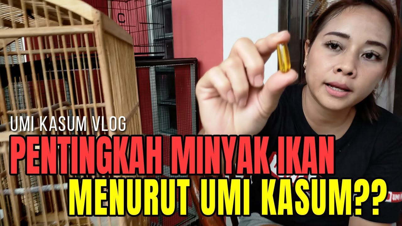 PENTINGKAH MINYAK IKAN MENURUT UMI KASUM