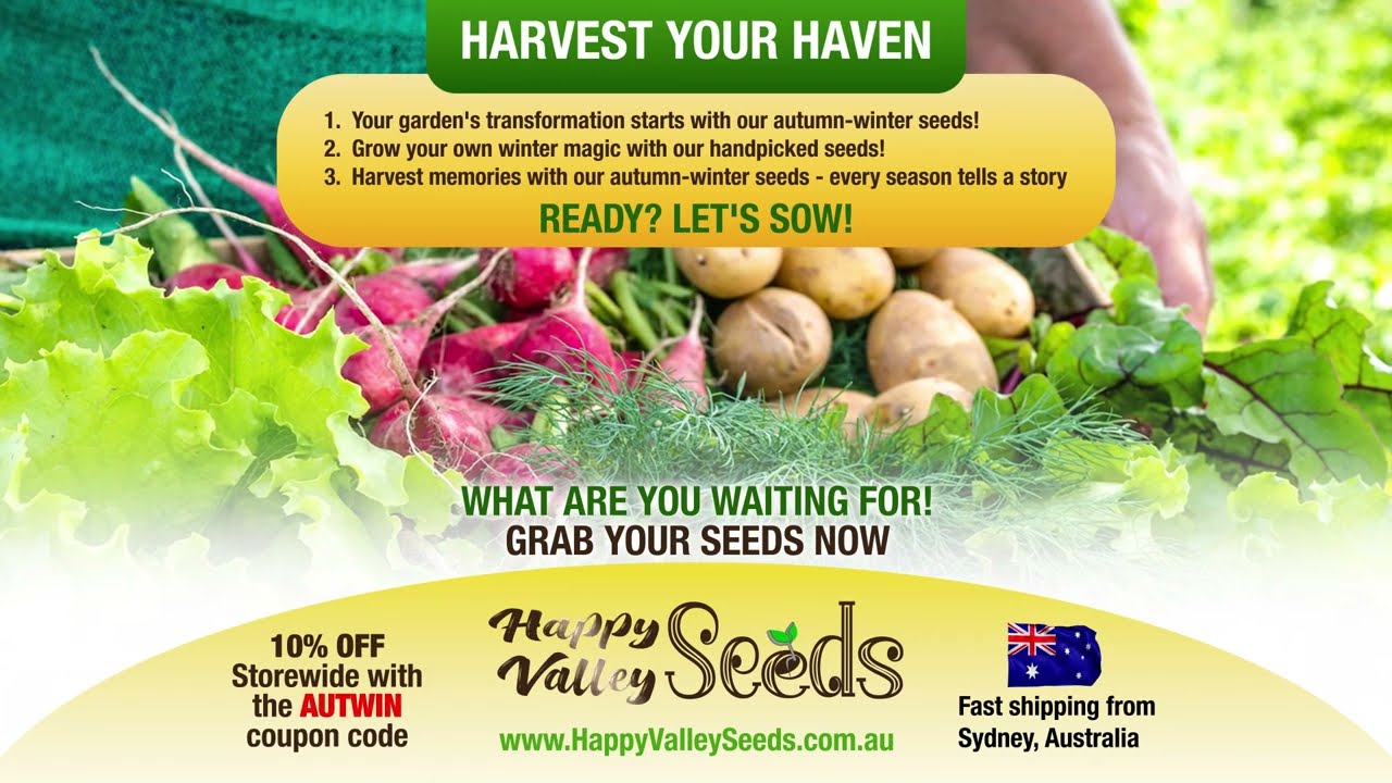 🥕 Harvest Your Haven in 2024 🌱 Happy Valley Seeds - Autumn Winter Garden Seed Collection