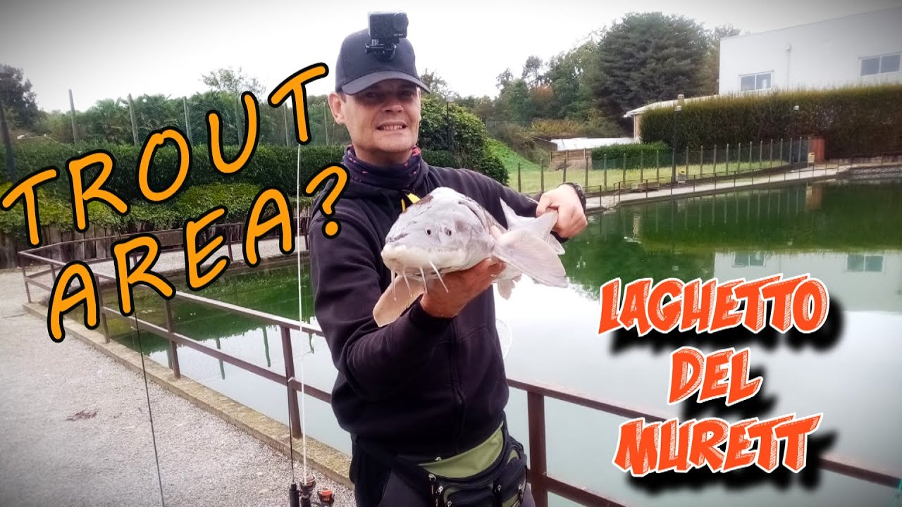 TROUT AREA ? : LAGHETTO DEL MURETT