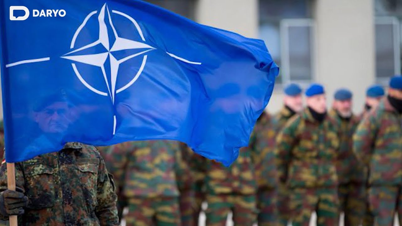 NATO qanday tashkilot?