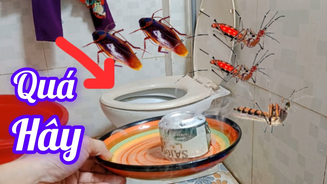 C&aacute;ch để bạn diệt muỗi ruồi kiến gi&aacute;n v&agrave; khử m&ugrave;i nh&agrave; vệ sinh h&acirc;y nhất, mẹo vặt h&acirc;y