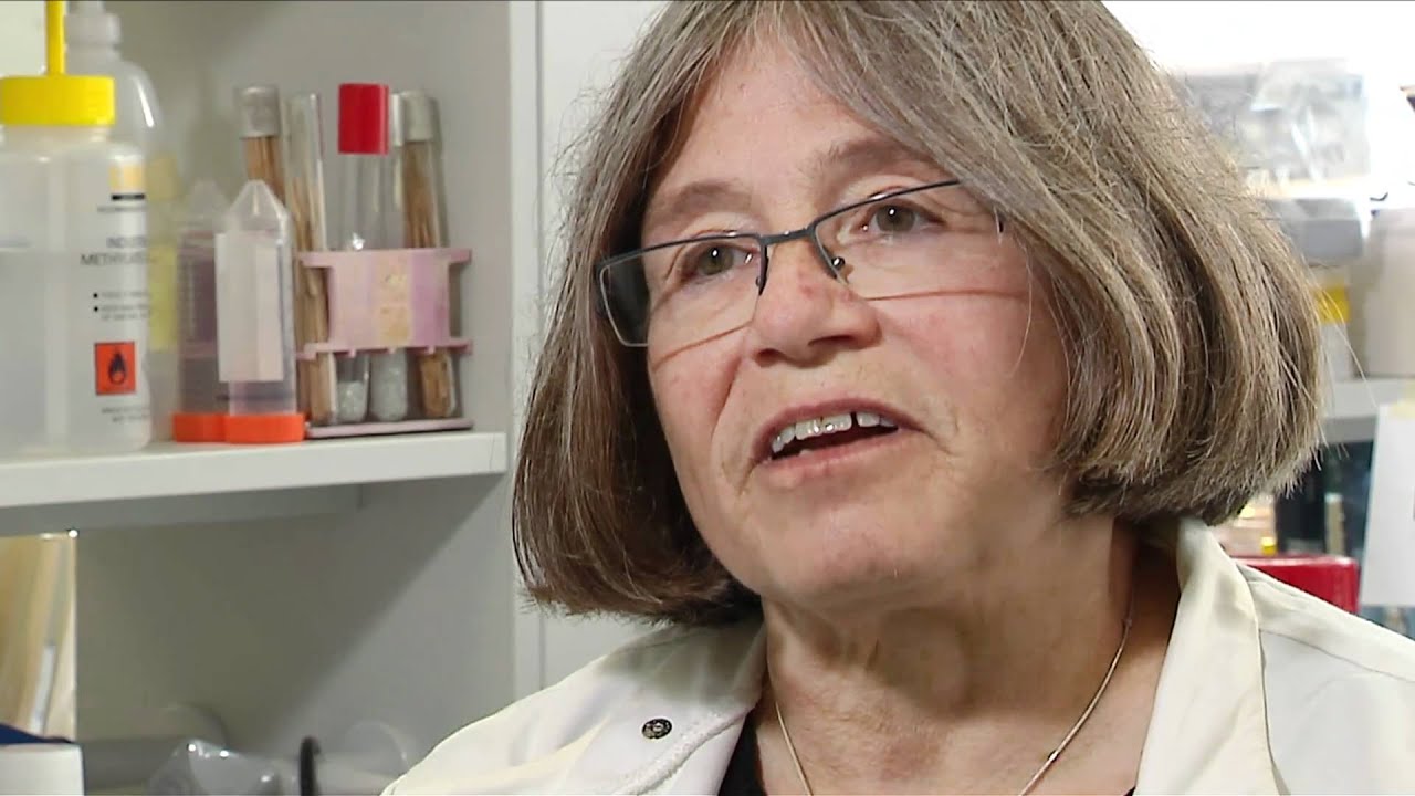 Model Organisms - Yeast - Professor Rhona Borts (Full Interview)