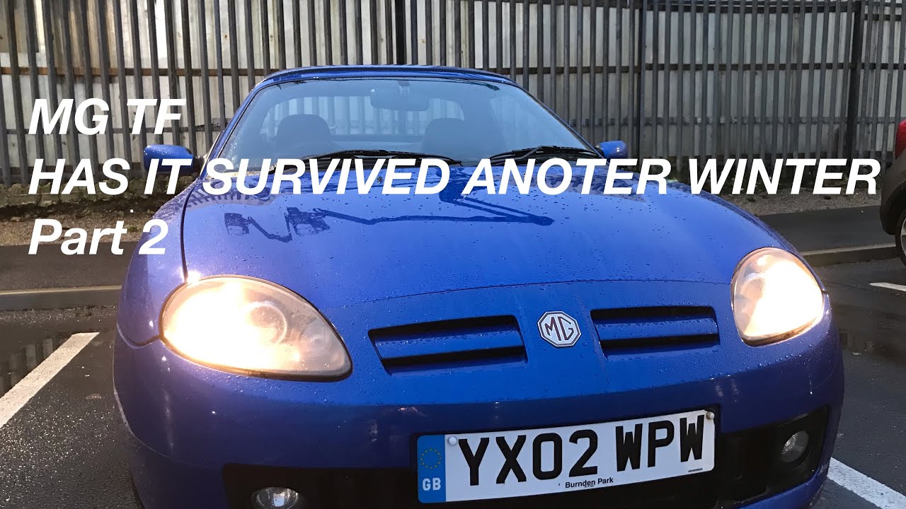MG TF Has it survived another winter ? Part 2