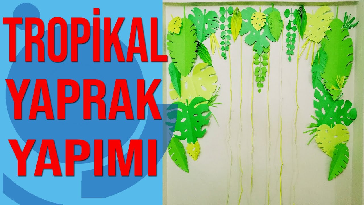 Amazon Ormanını Evinize Getirdik | Ruvi Decoration