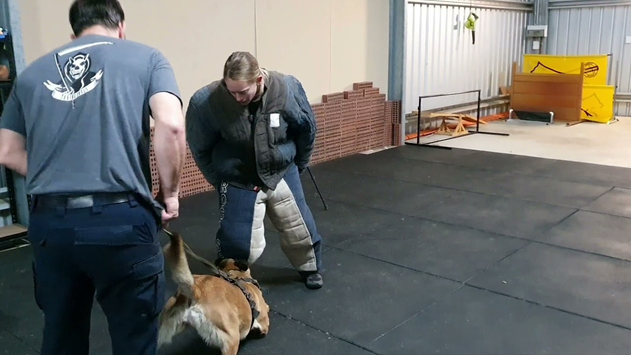Learning to Decoy