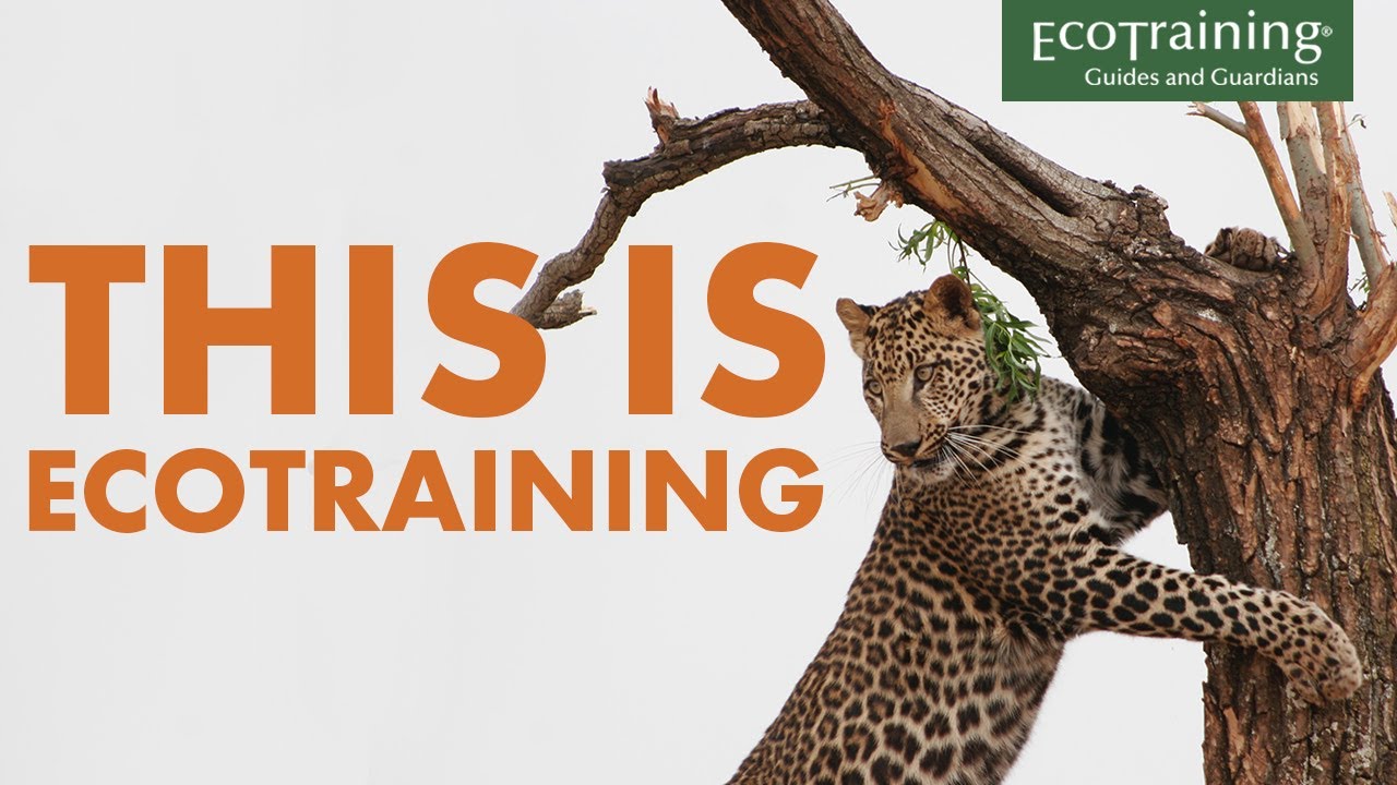 This is EcoTraining