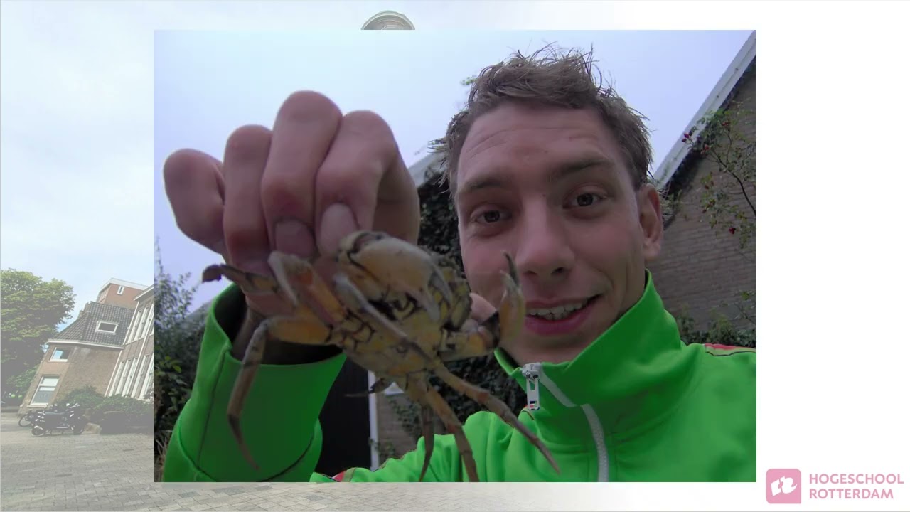 Fotopresentatie  Pabo 12 2 2026 V4 def