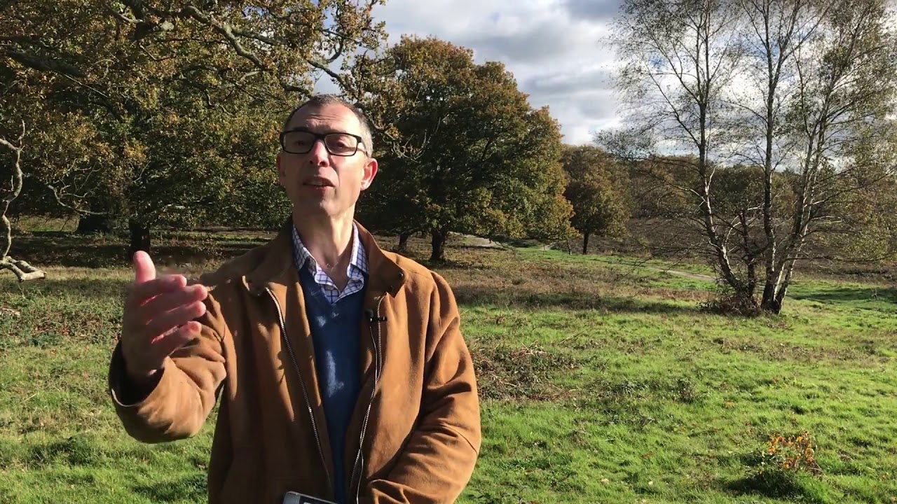 Rural Powerhouse Week: An overview of Barlavington Estate