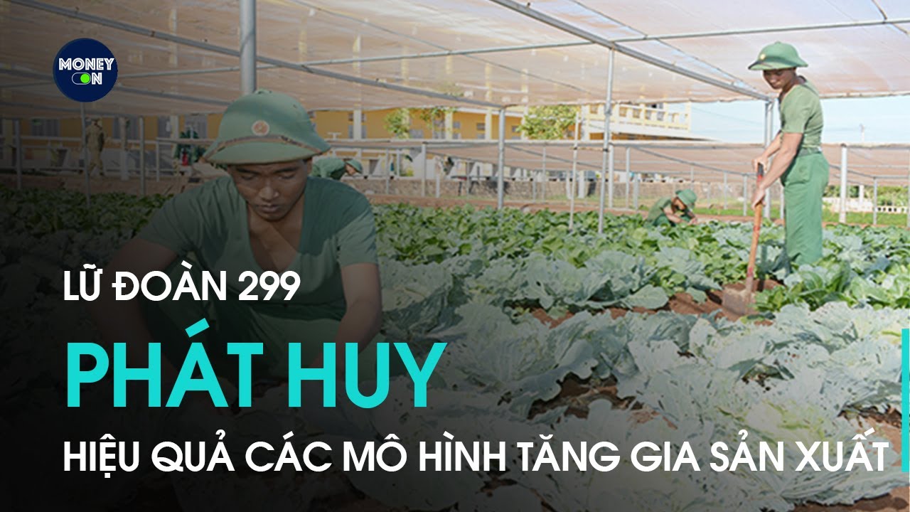 Lữ đoàn 299 phát huy hiệu quả các mô hình tăng gia sản xuất