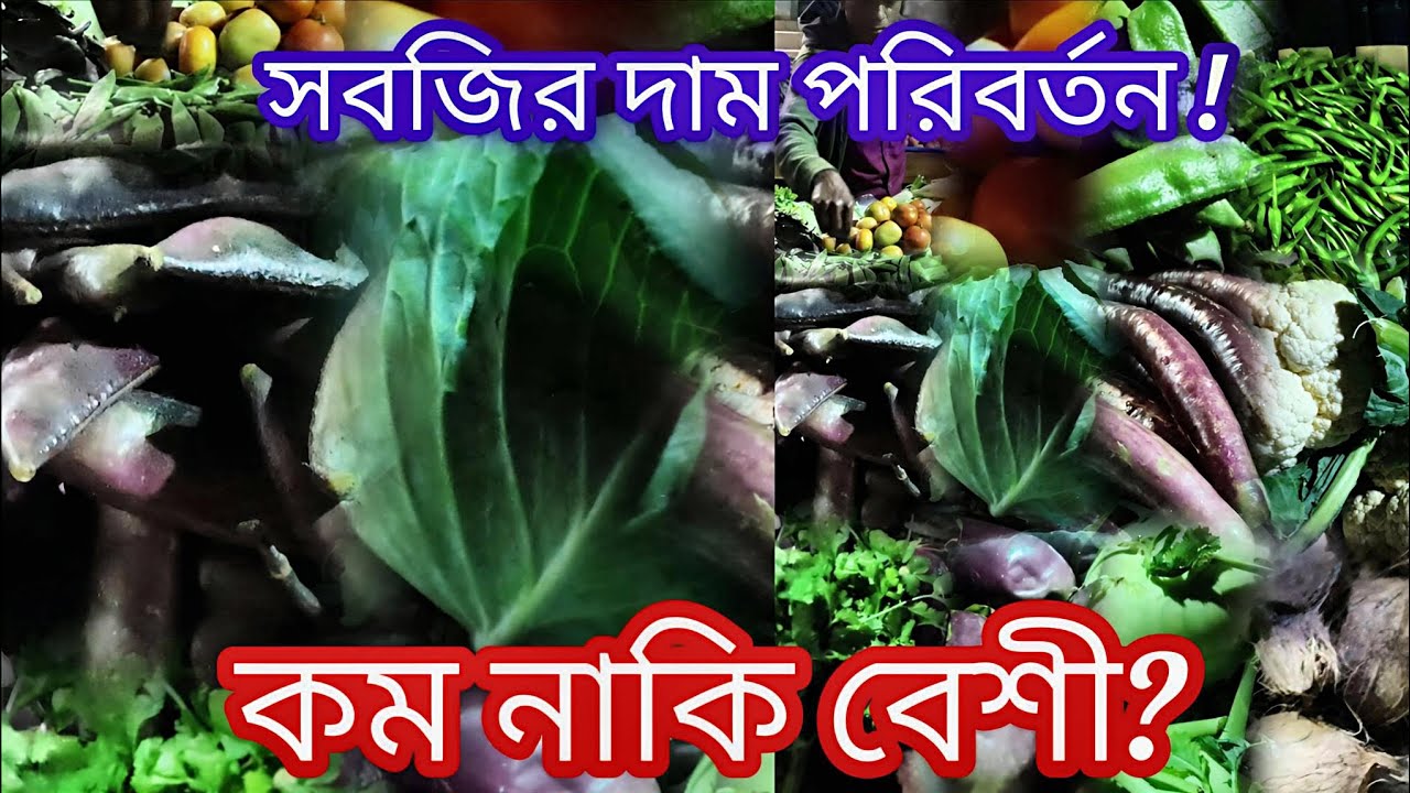 সবজির দামে বড় পরিবর্তন! আজ কম নাকি বেশি? ‎⁨@Pricepointbd-r9f⁩ #viral #trending #youtube 