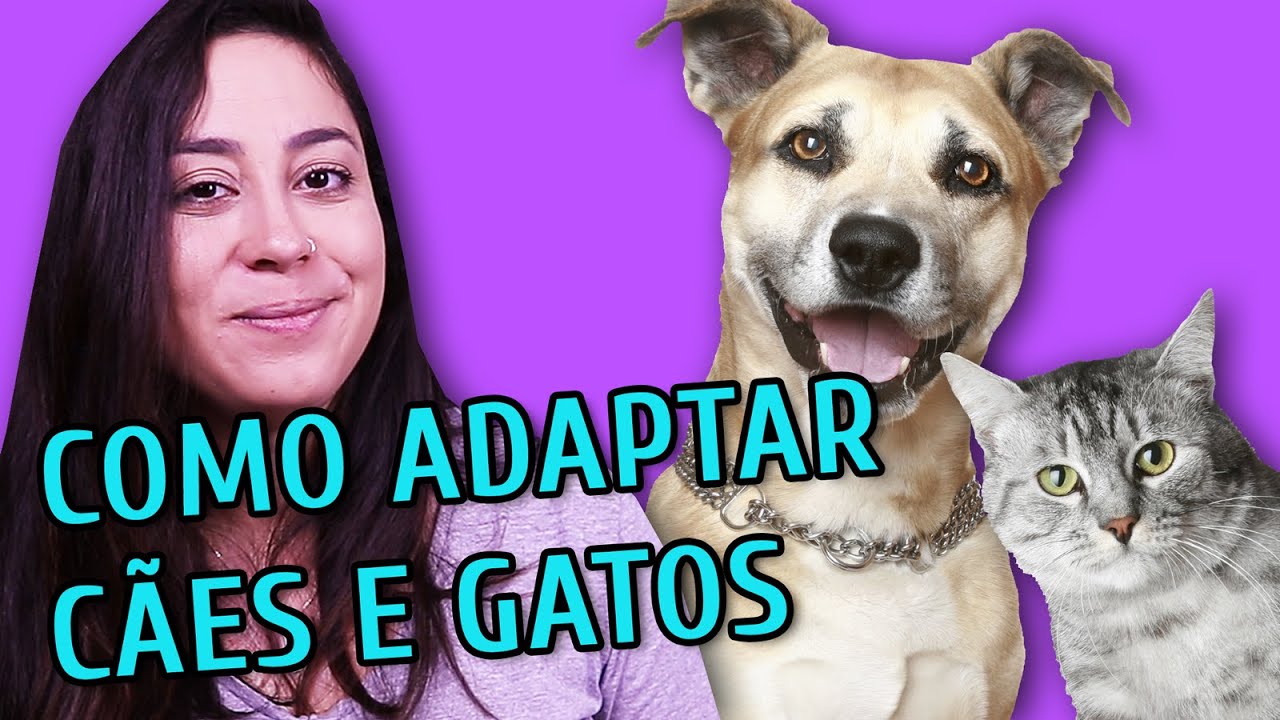 COMO ADAPTEI AS CACHORRAS COM A GATA