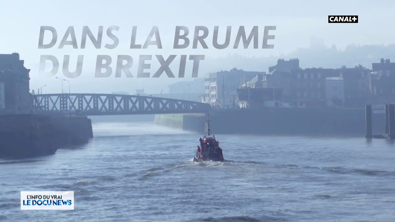 Dans la brume du Brexit - Docunews