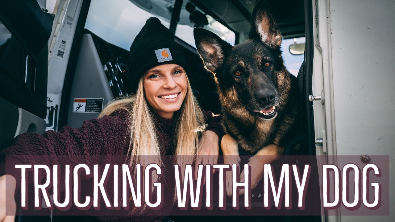Trucking With My Dog! | A Day In The Life Of An OTR Trucker