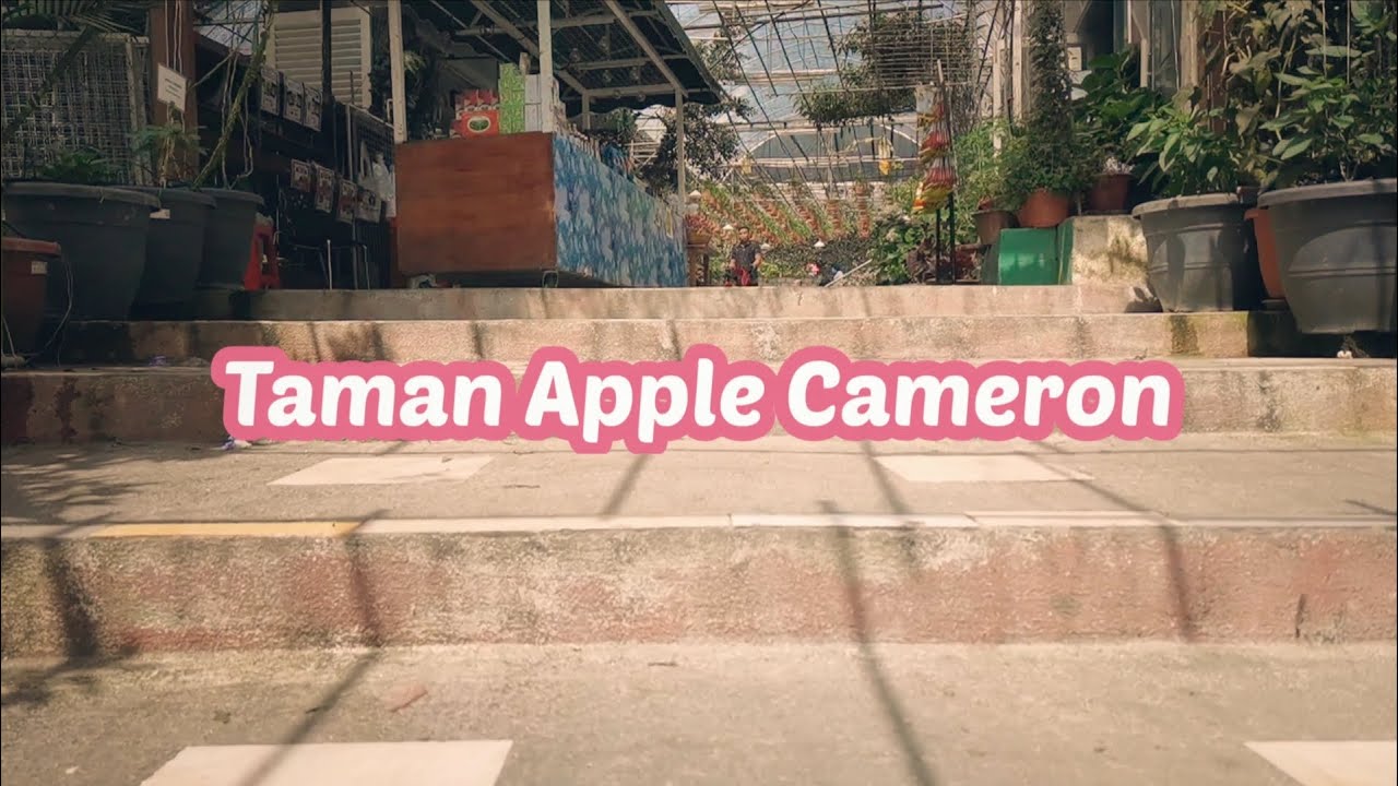 Taman Apple Cameron