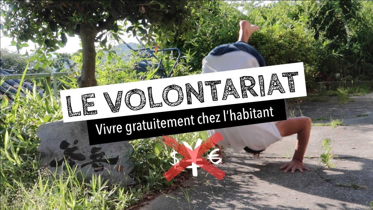 Vivre sans argent au Japon - LE VOLONTARIAT | Onomichi #4