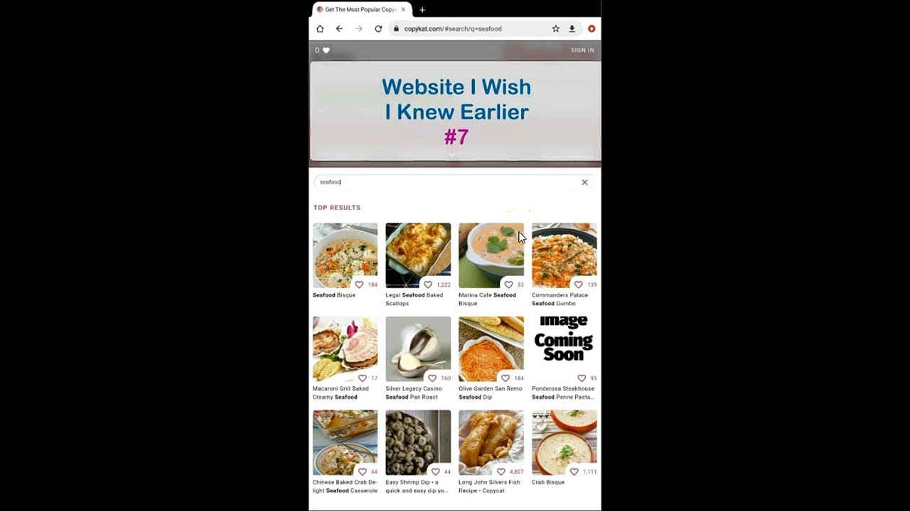 Website I Wish I Knew Earlier # 7| CopyKat.com