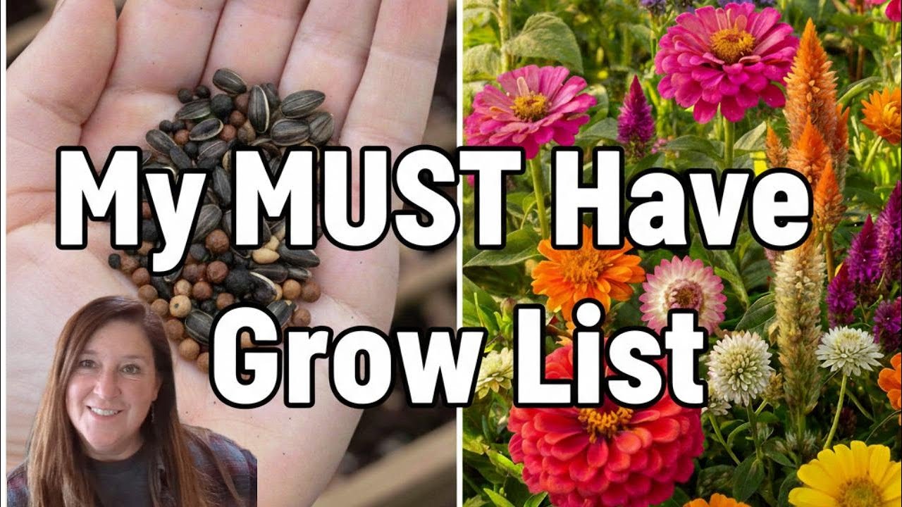 Must Have Cut Flowers To Grow List