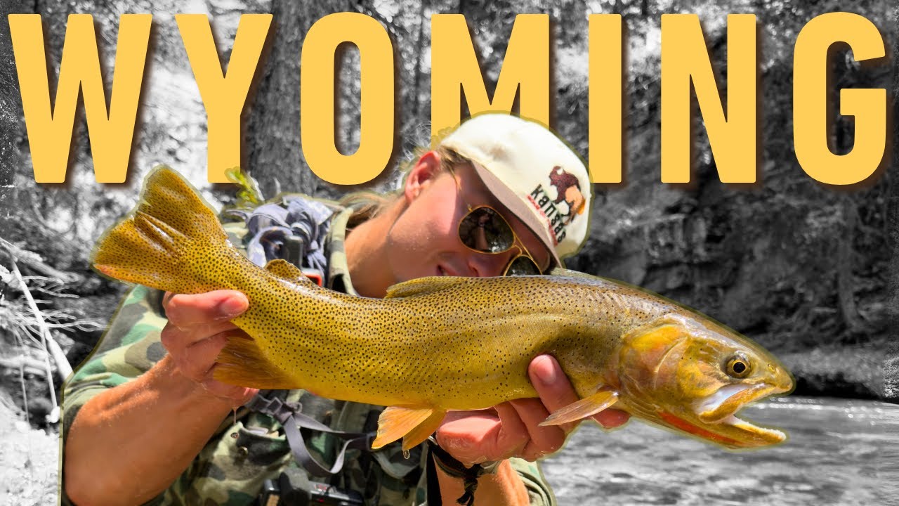 Fly Fishing Wyoming for Native Trout (2024) | Remote Rivers & Big Fish Adventure