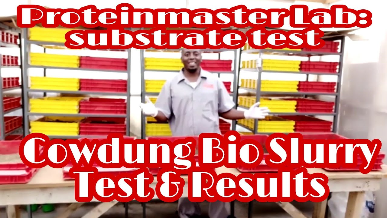 Cowdung Bio Slurry,ProteinMaster lab test