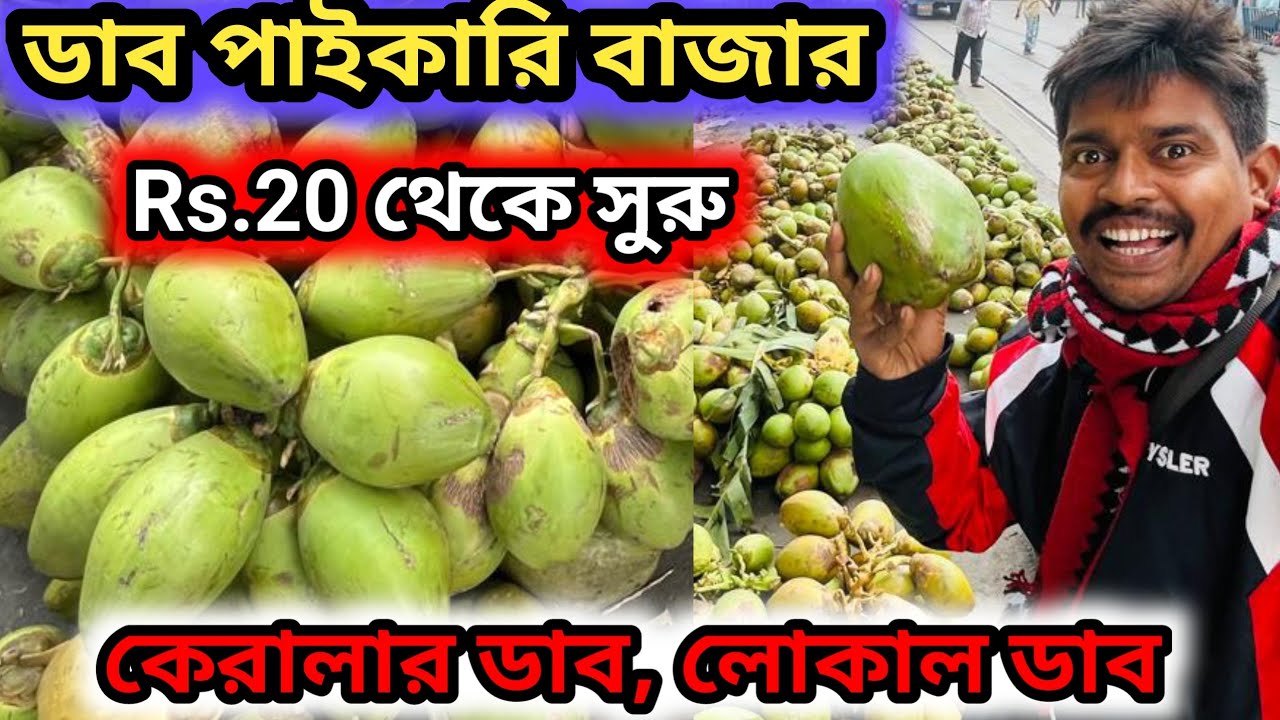 ডাব পাইকারি বাজার #ডাব #greencoconut