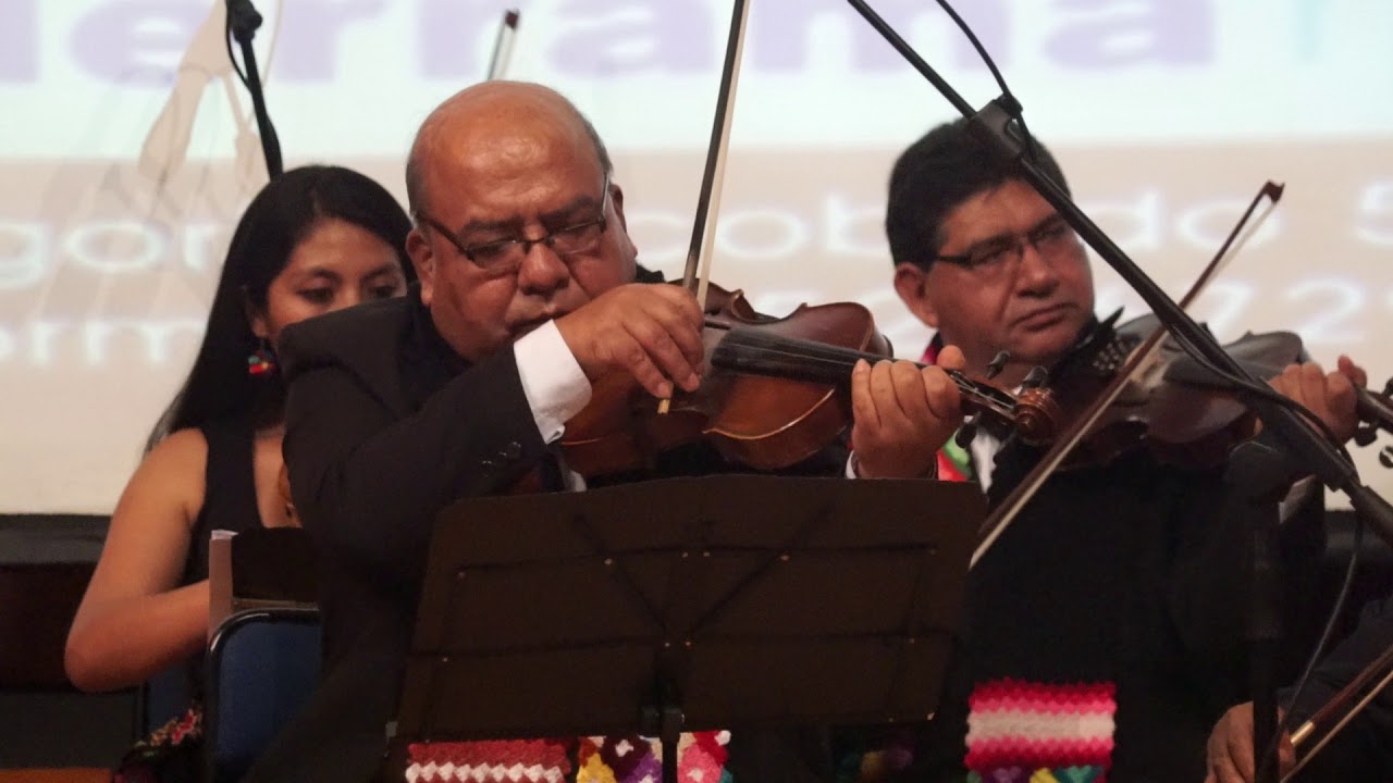 VIOLINES DE AYACUCHO - CONCIERTO COMPLETO