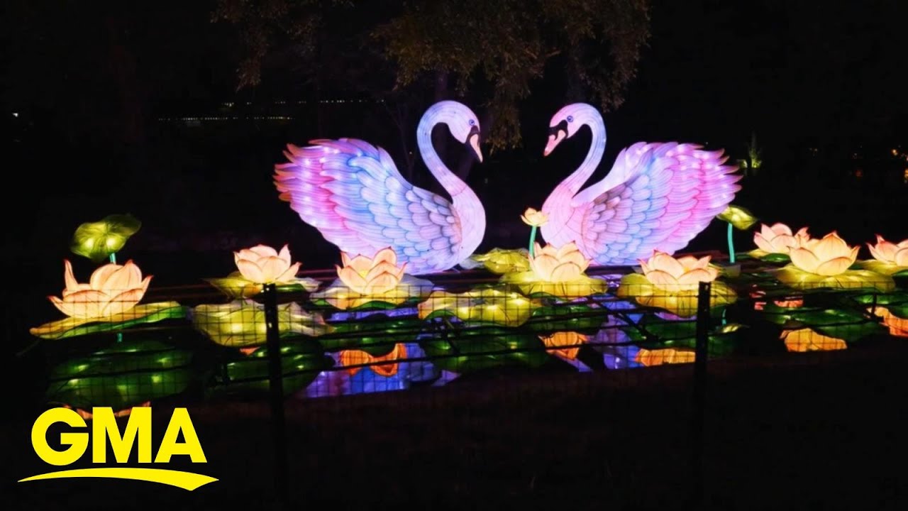 Tianyu Arts & Culture shines bright with their Chinese lantern festivals worldwide
