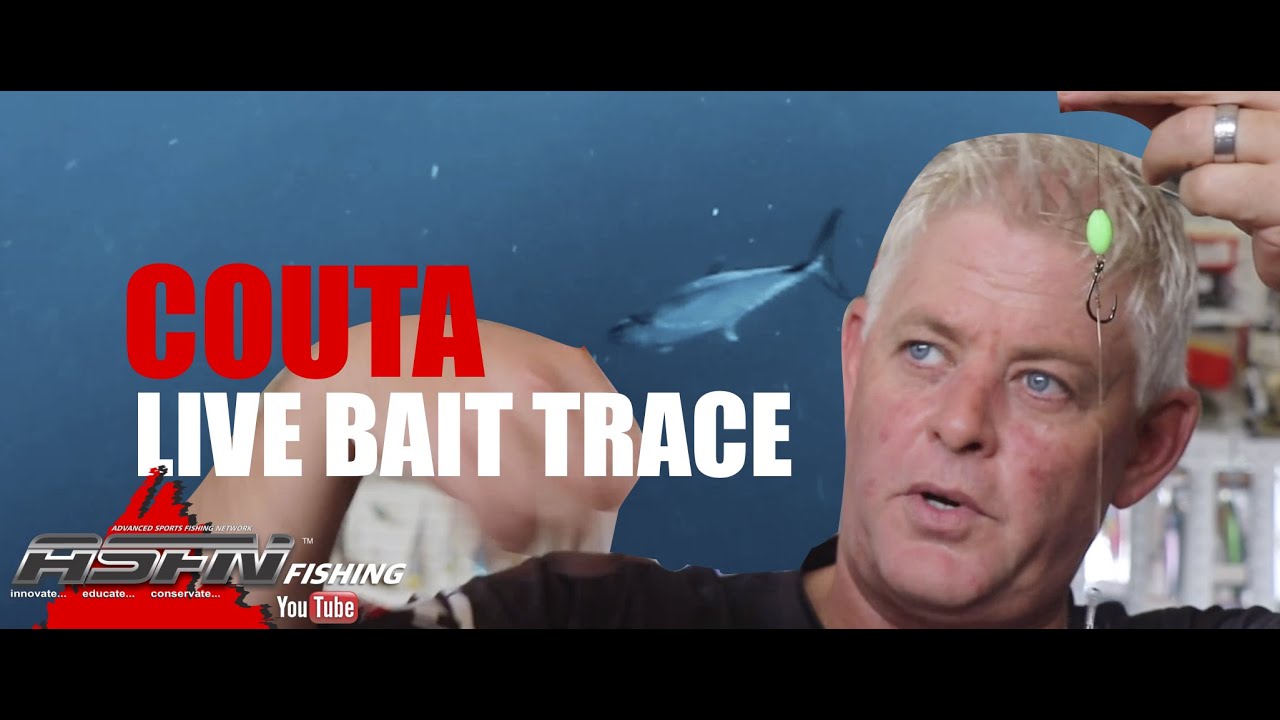 Couta Live Bait Trace | Deep Sea Traces | ASFN Baits & Traces