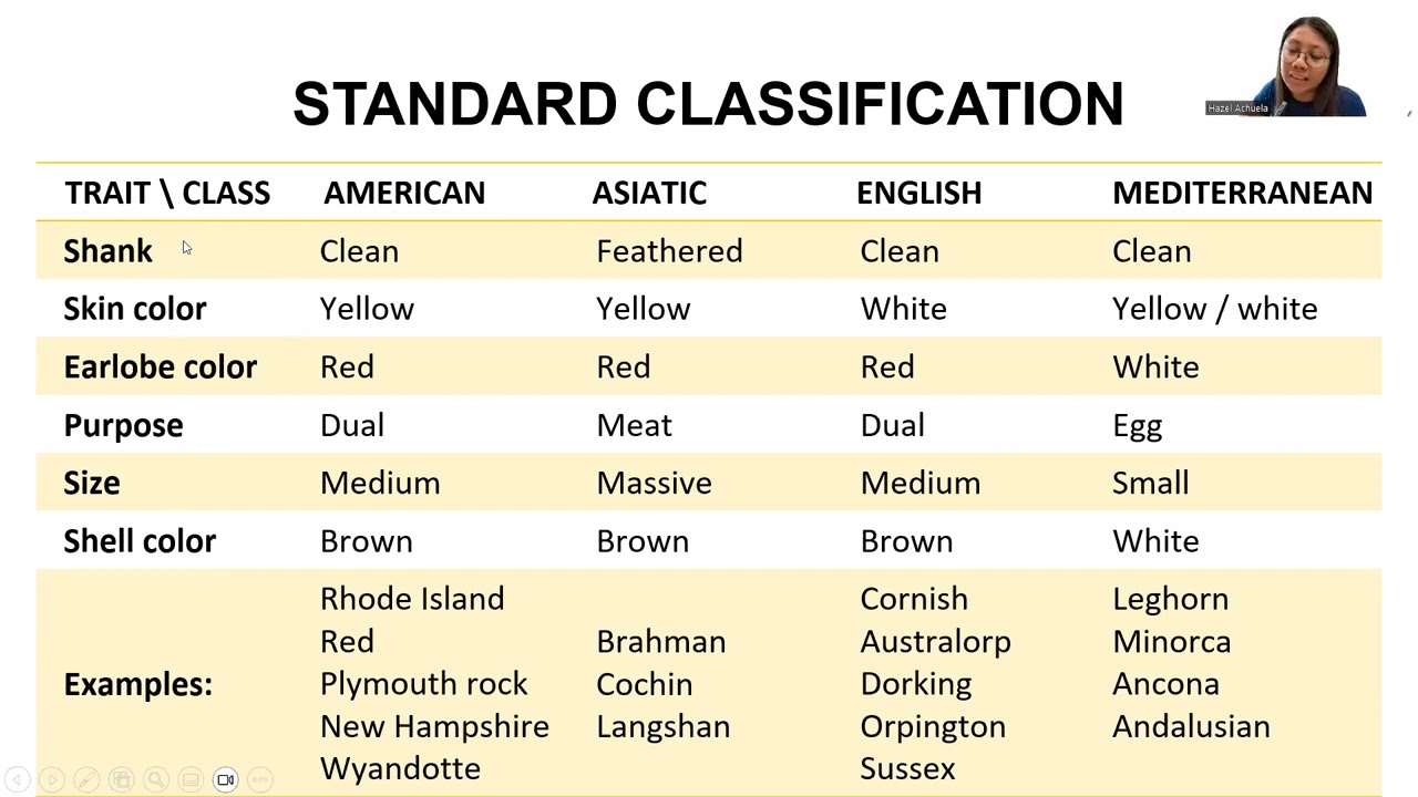 Classification of Chickens