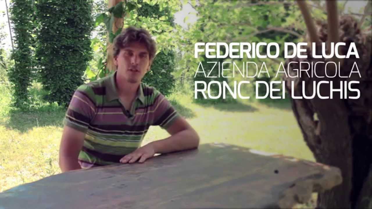 Azienda Agricola Ronc dai Luchis