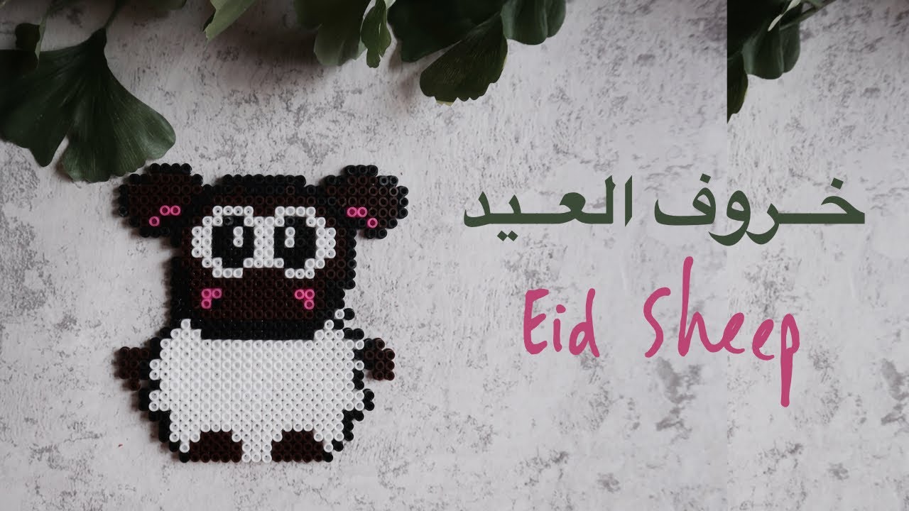 نورية {خروف العيد } Nooriyah /Eid Sheep