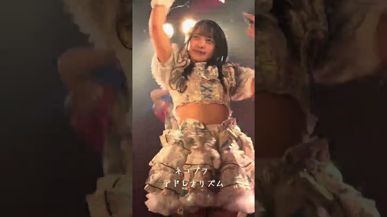 #ネコプラ アドレナリズム下北沢シャングリラ2026.02.07#アイドル #ライブ #ダンス #推しをお探しですか #推し活 #dance #カワイイ #idol #live #かわいい 
