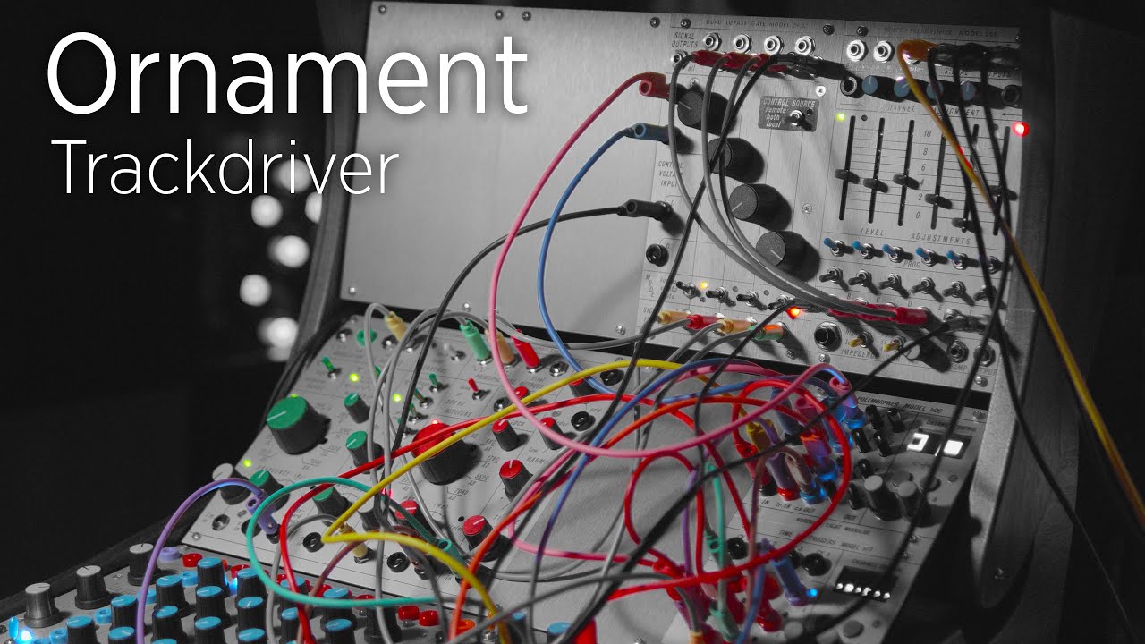 Buchla Modular System - Ornament