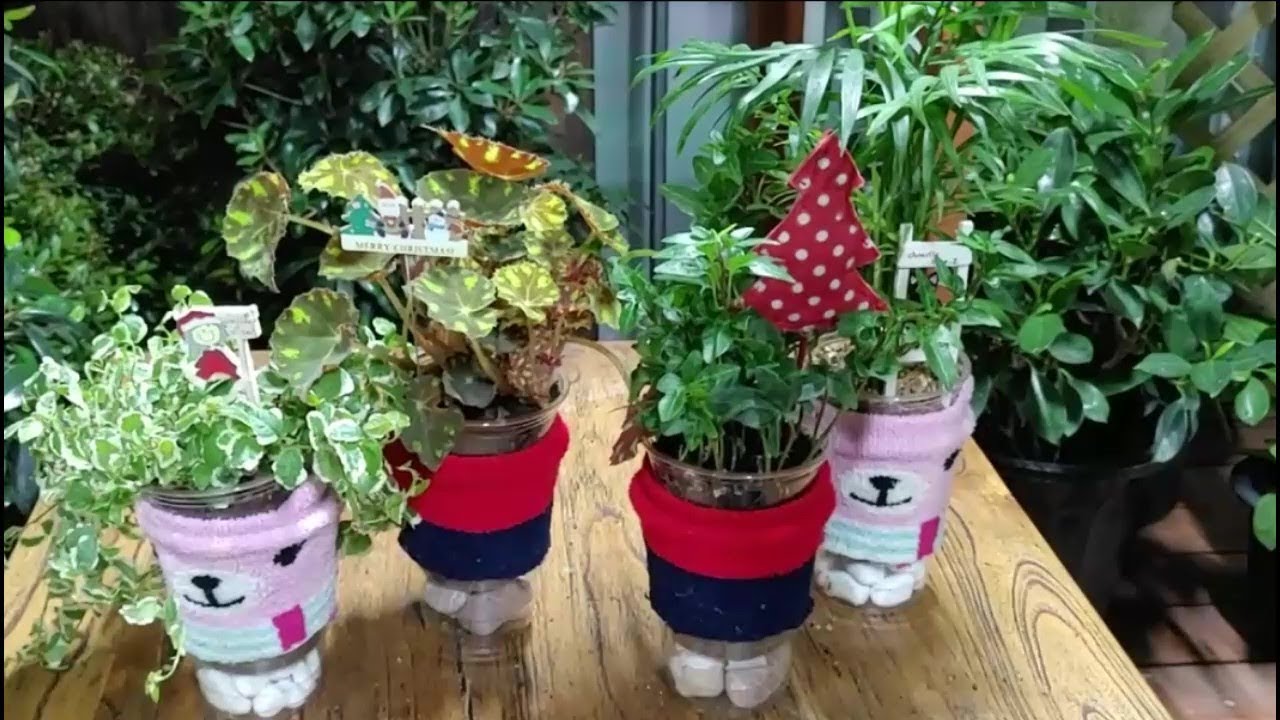일회용 커피컵과 양말로 예쁜 화분 완성!!!