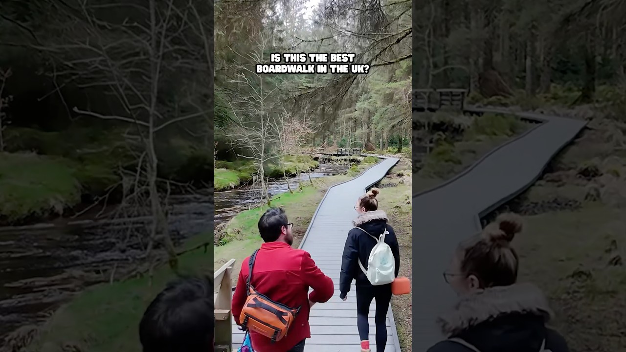 Is This The Best Boardwalk In The UK #shorts #boardwalk #dogfriendly #wales #hike