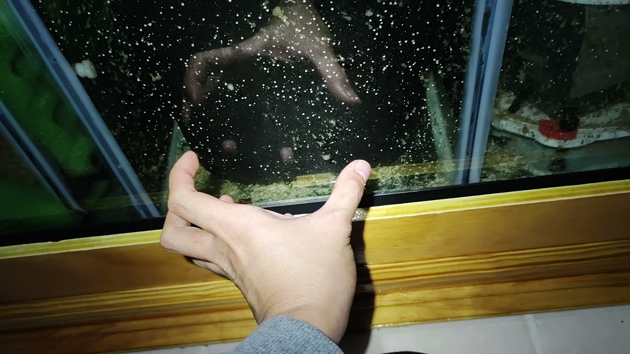 DIY Trashcan Refugium/Chaeto Reactor - Reef Tank