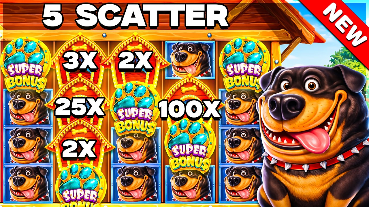 5 SCATTER SUPER BONUS On DOG HOUSE MEGAWAYS 1000 SLOT!!