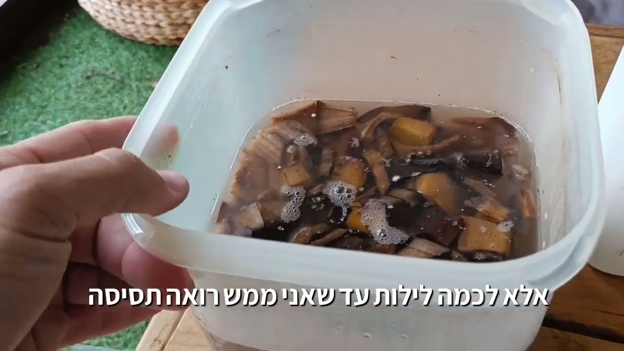 שיטה חסכונית וסופר יעילה לדישון צמחי הבית, המרפסת והגינה
