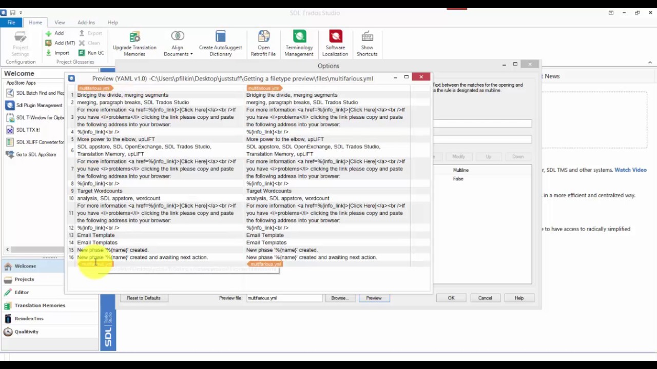 SDL Trados Studio 2017 - Filetype Preview Feature