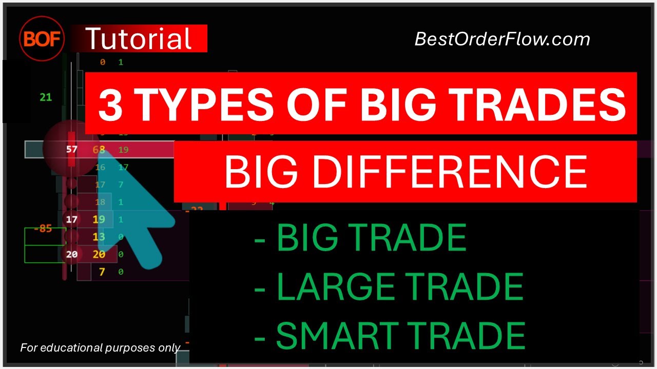How to use Big Trade Indicator Big Large Smart NinjaTrader Tutorial  
