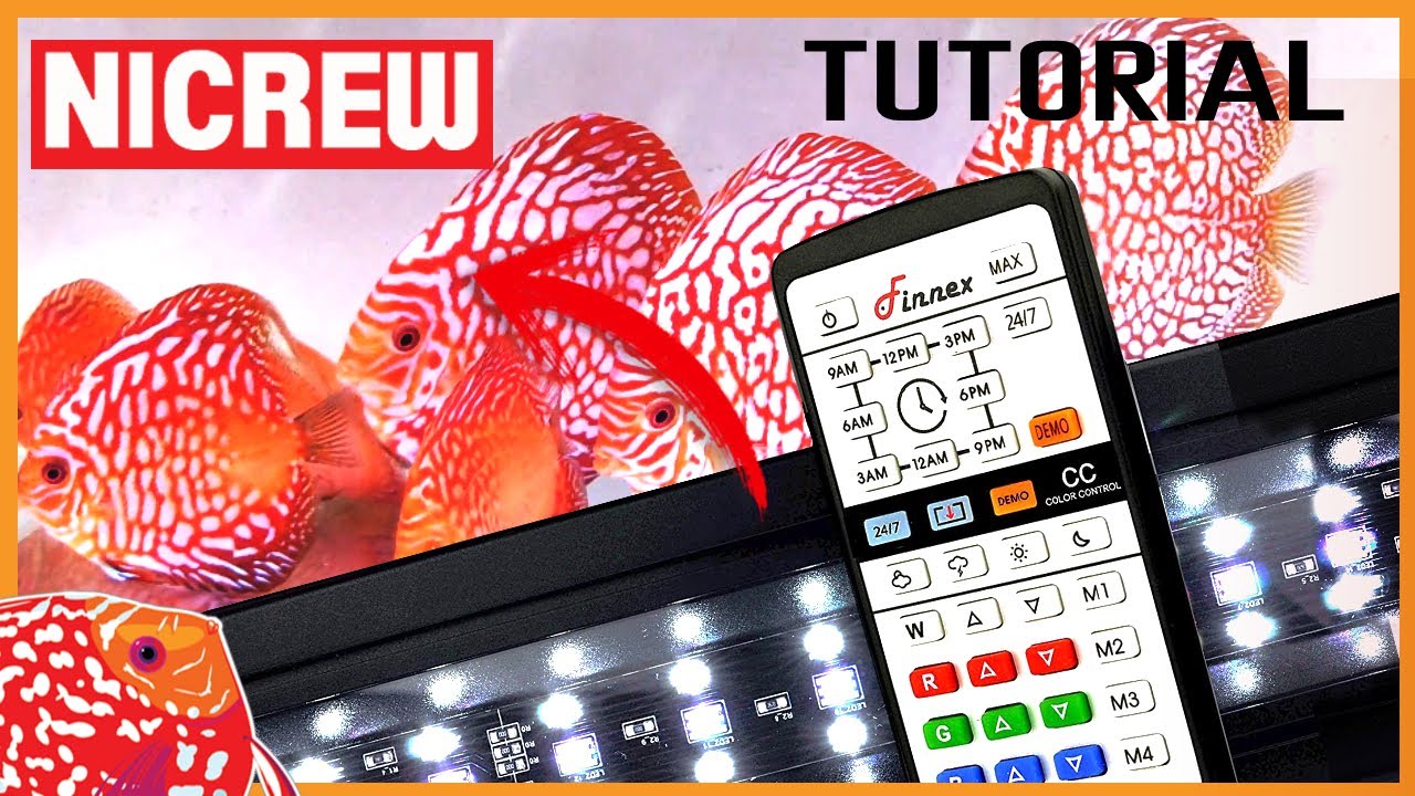 Tutorial en español NICREW RGB Plus LED 24/7 | AQUARIS Peces Disco