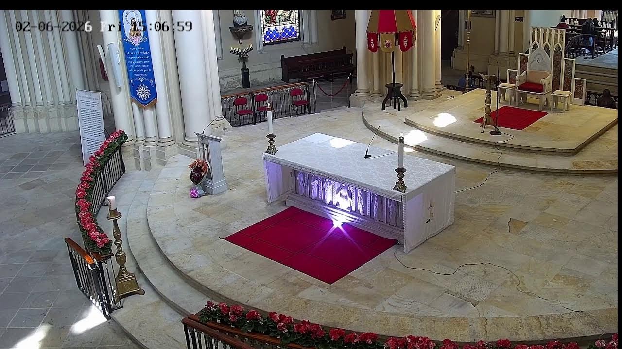 Transmisión Eucaristía Basílica de Lourdes   2026