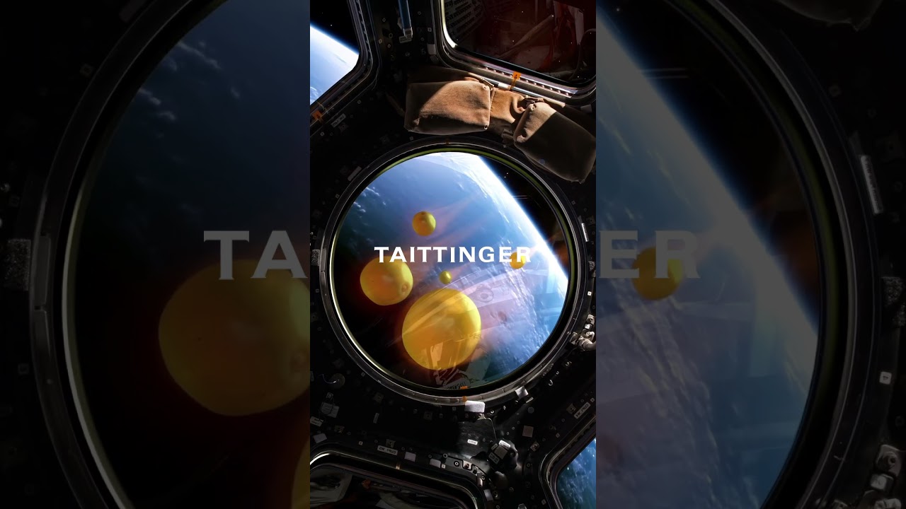 Look! Mysterious UFOs spotted!  #Champagnetaittinger #Taittinger