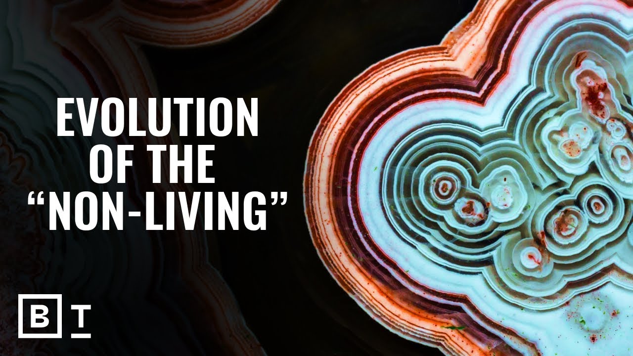The mindblowing way rocks &ldquo;survive&rdquo; and evolve | Robert Hazen